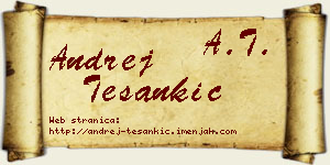 Andrej Tešankić vizit kartica